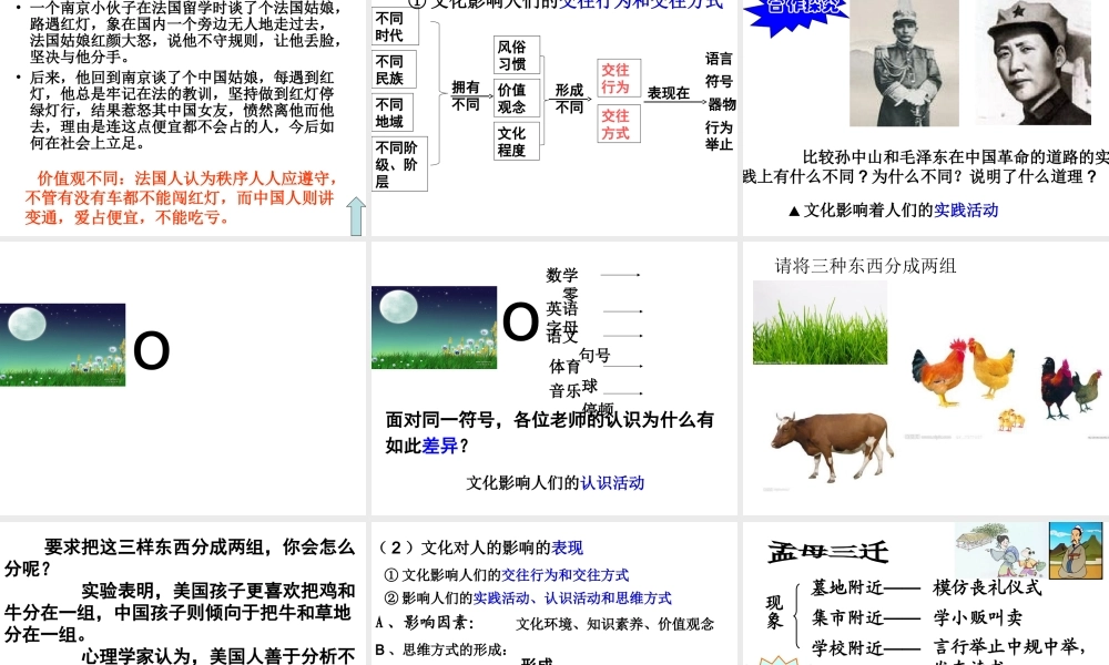 感受文化影响课件