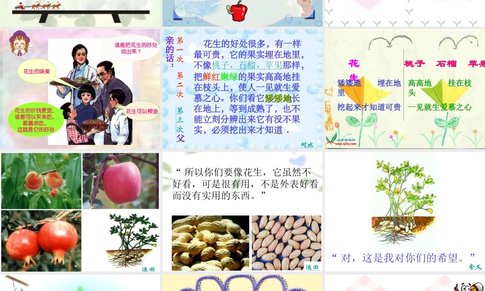 《落花生》课件4 (2)