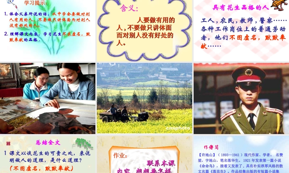 《落花生》课件4 (2)