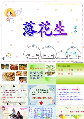 《落花生》课件4 (2)