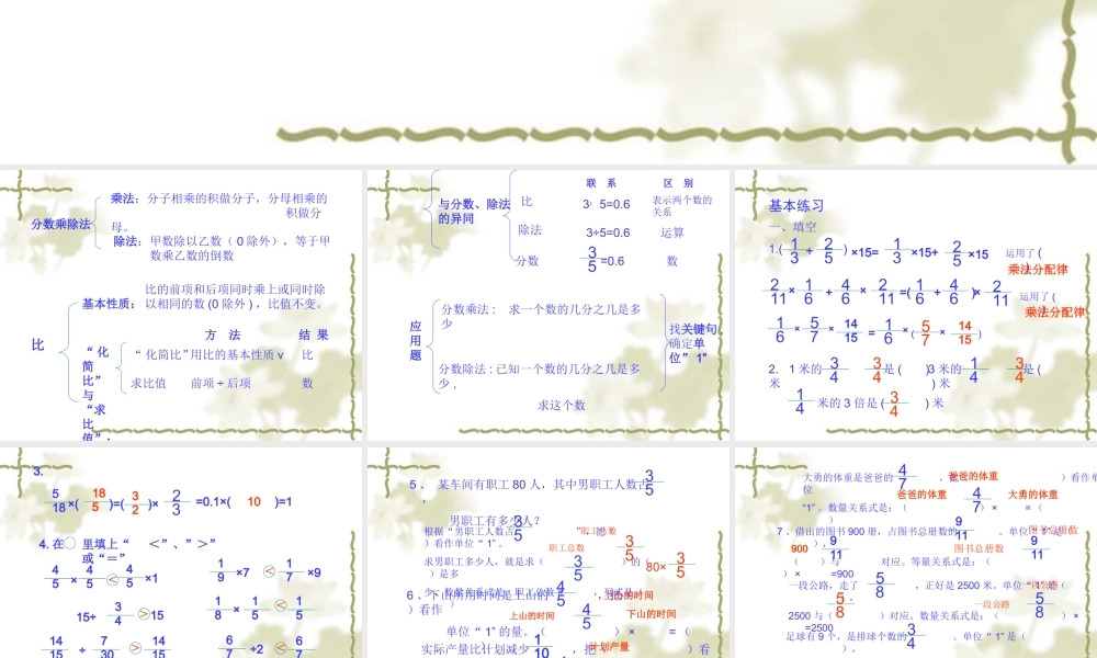 整理与复习分数除法和比[1]