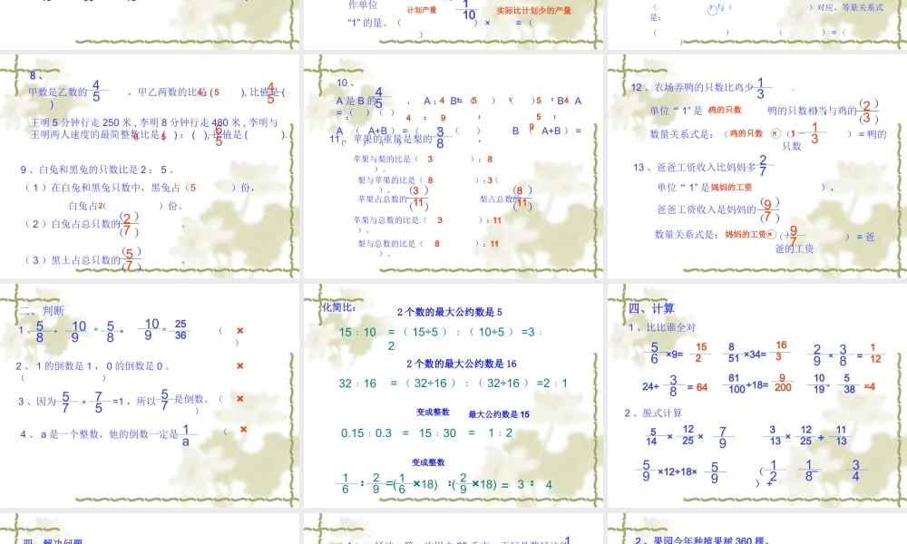 整理与复习分数除法和比[1]