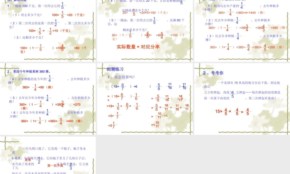 整理与复习分数除法和比[1]