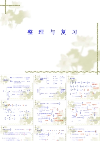 整理与复习分数除法和比[1]