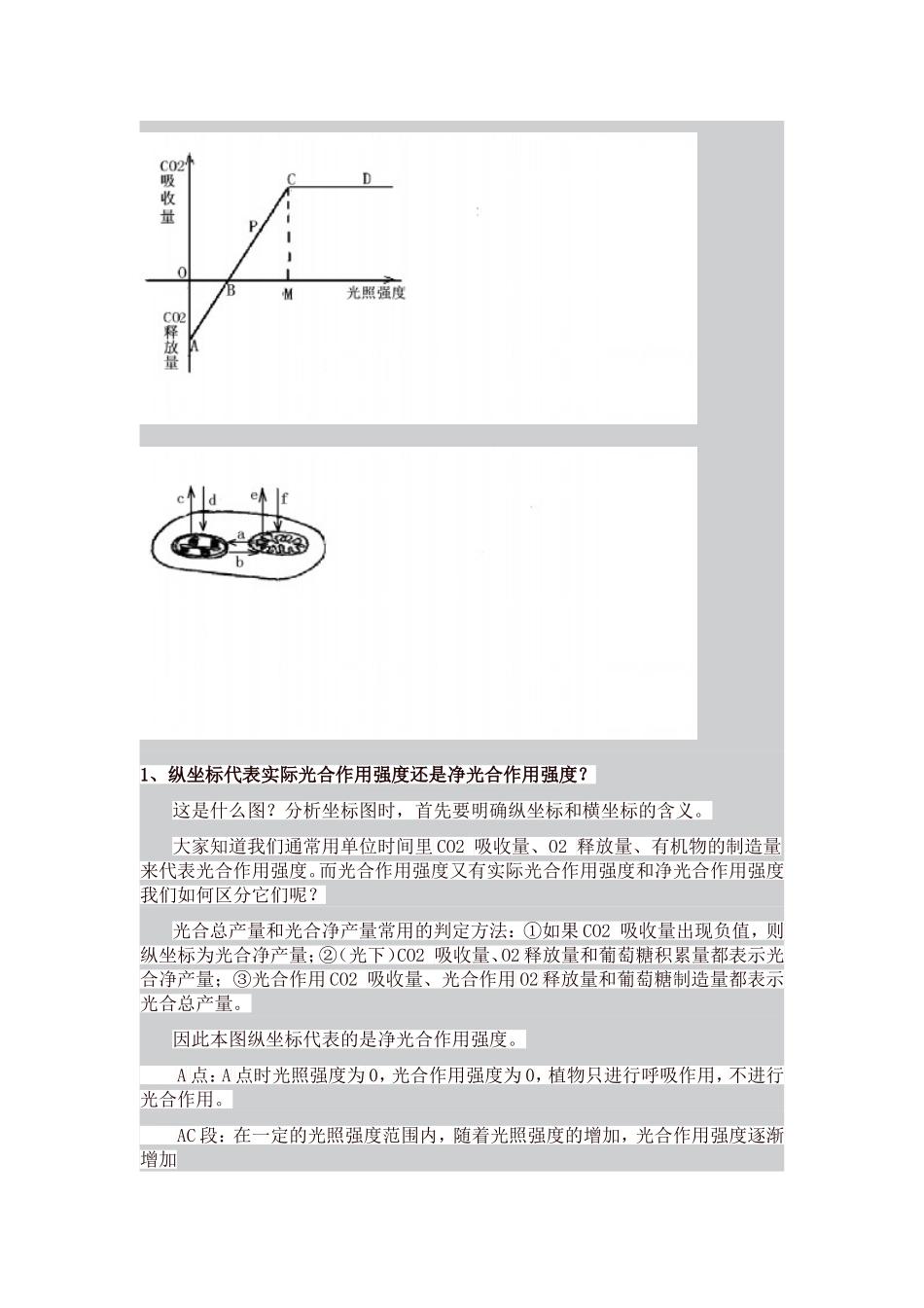 光合作用和呼吸作用_第3页