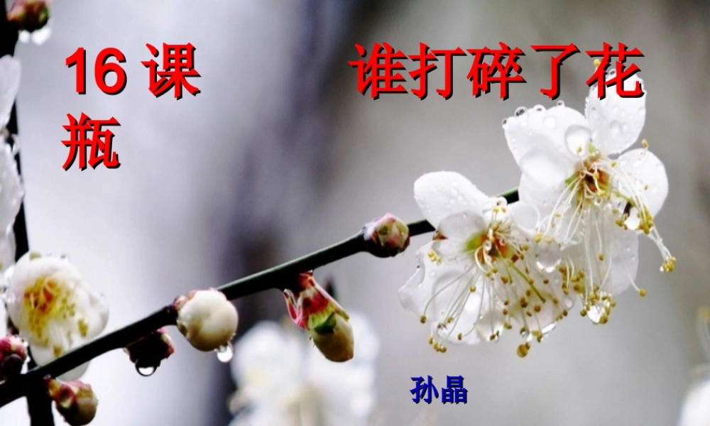 谁打碎了花瓶1