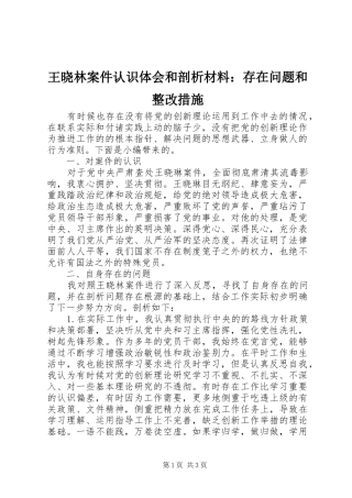 王晓林案件认识体会和剖析材料：存在问题和整改措施
