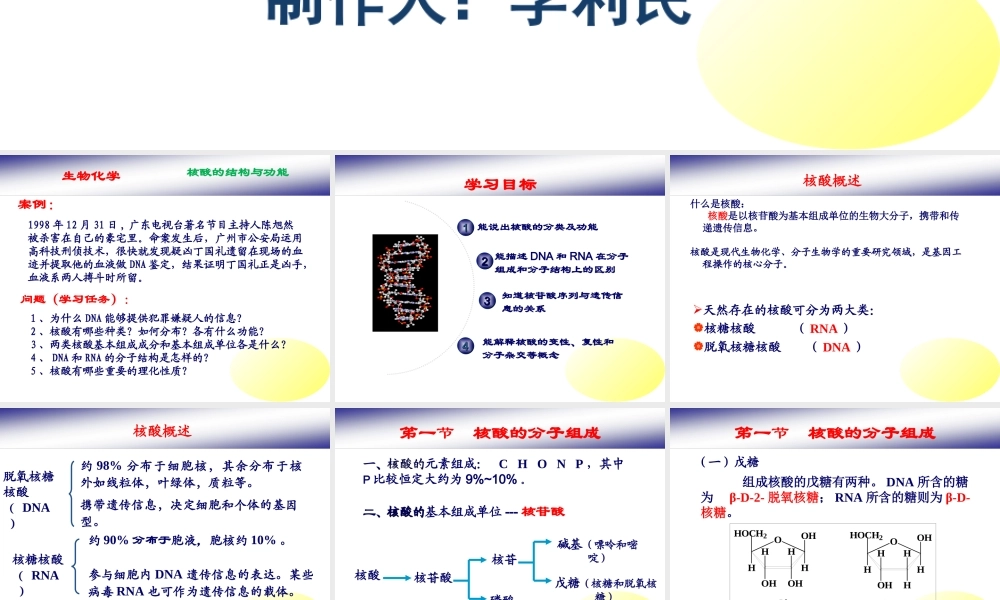 核酸的结构与功能