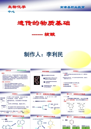 核酸的结构与功能