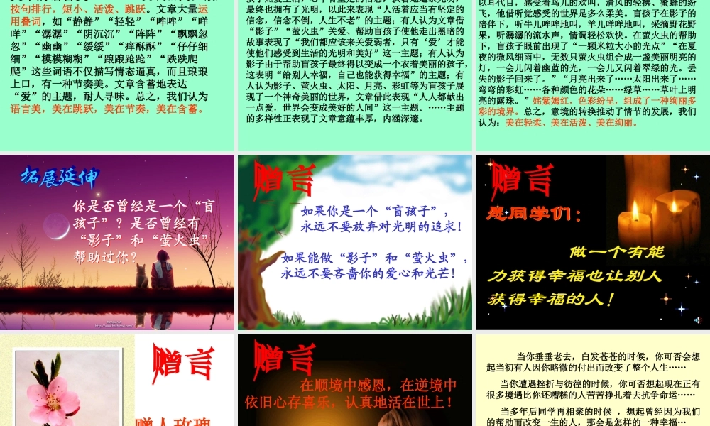 盲孩子和他的影子》课件