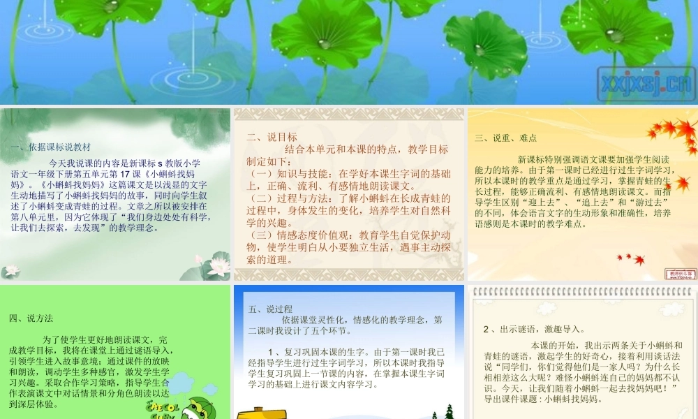 小蝌蚪找妈妈(说课稿）