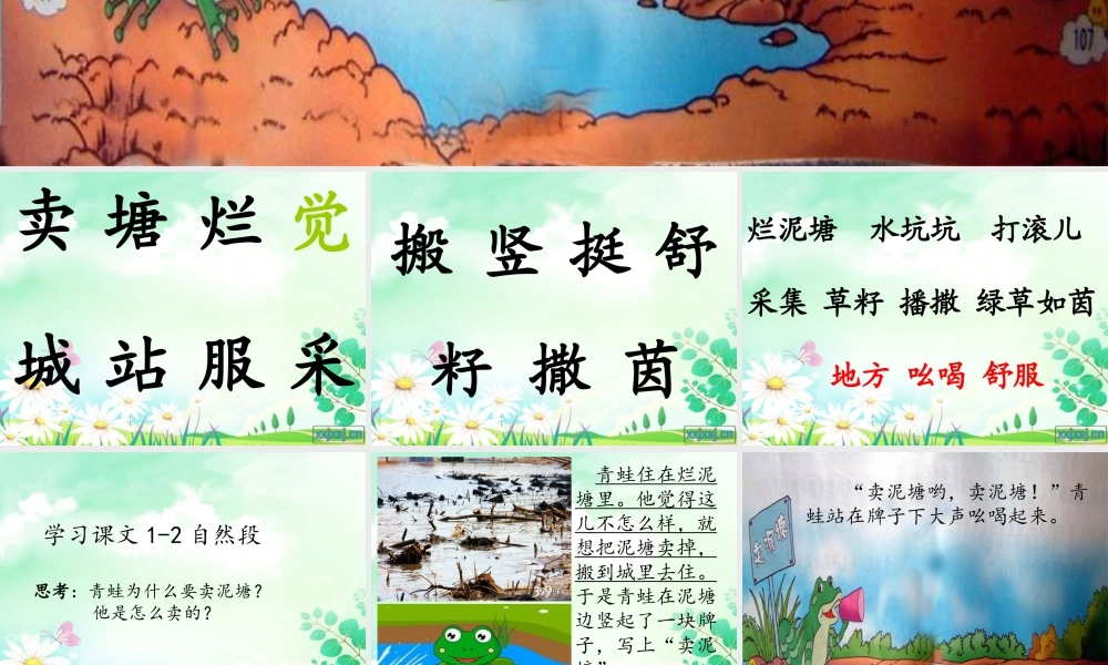 青蛙卖泥塘课件