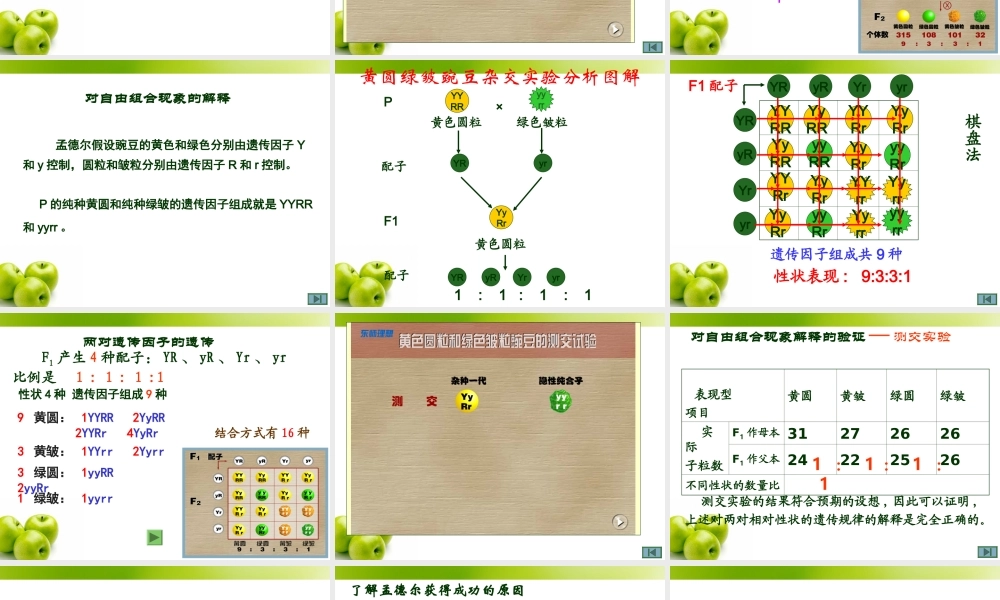 生物必修2第1章第2节