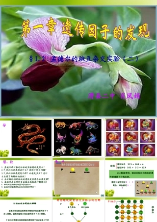 生物必修2第1章第2节