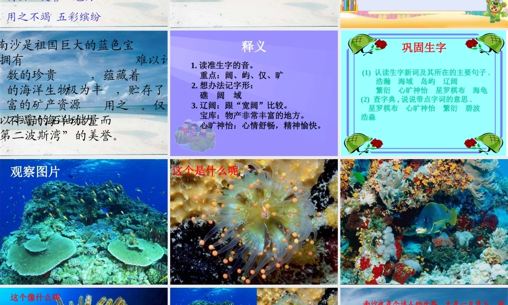 （苏教版）三年级语文课件美丽的南沙群岛