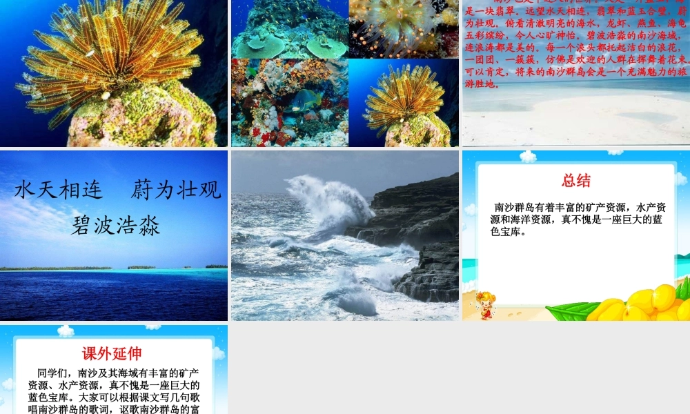 （苏教版）三年级语文课件美丽的南沙群岛