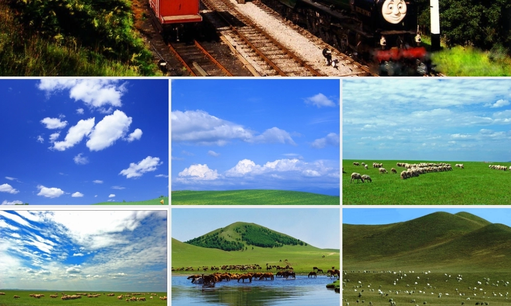 草原就是我的家2