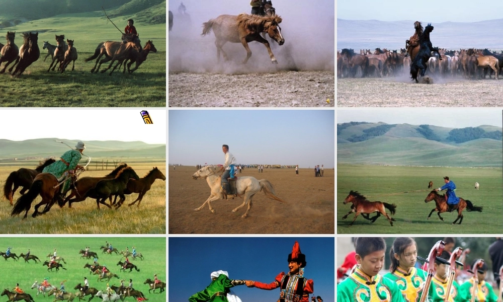 草原就是我的家2