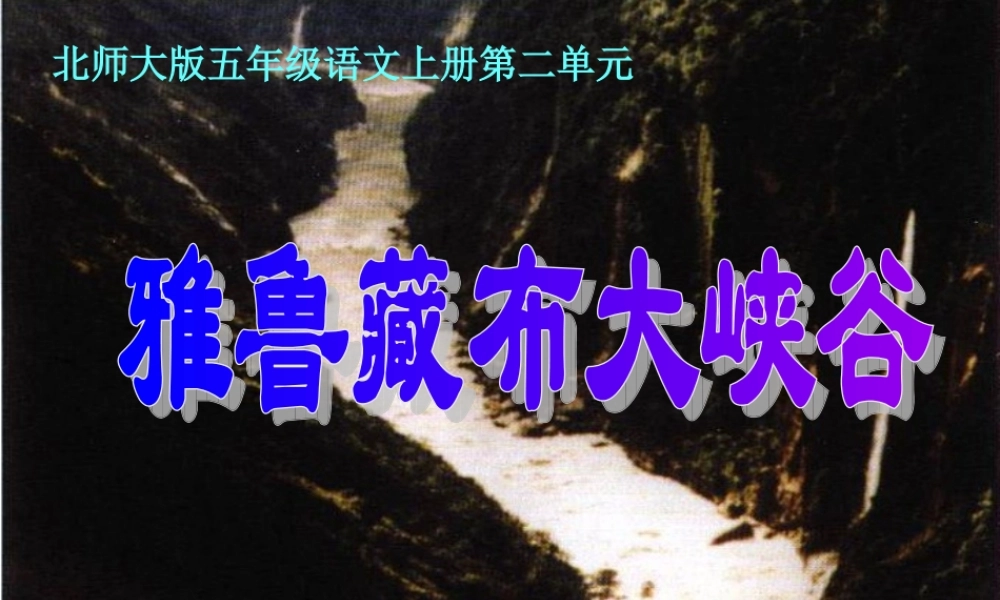 《雅鲁藏布大峡谷》