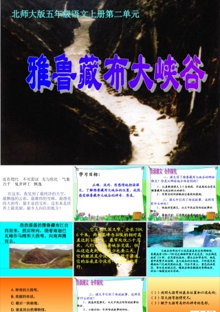 《雅鲁藏布大峡谷》