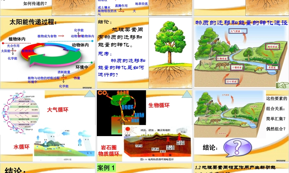 《自然地理环境的整体性》