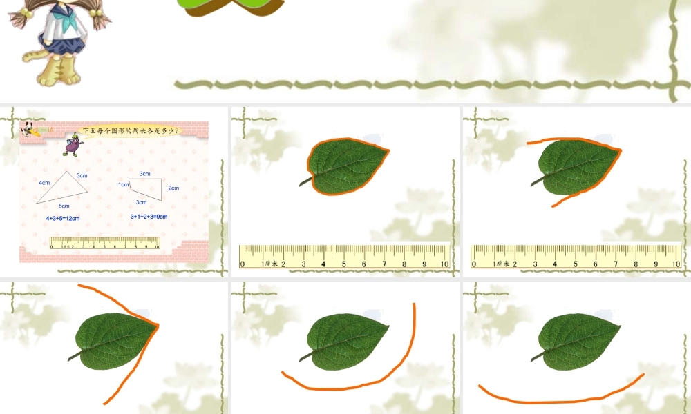 认识周长说课课件