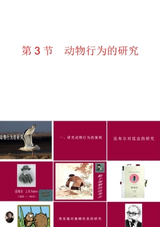 章第节动物行为的研究