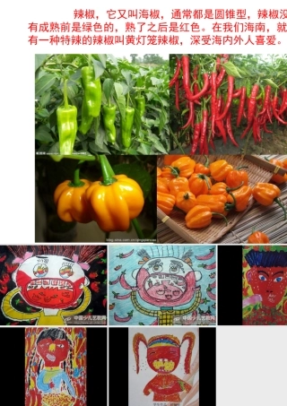 手动辣椒真辣1