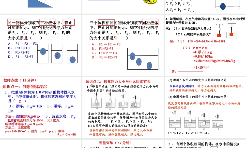 人教版八年级物理下册浮力复习(王茂元）