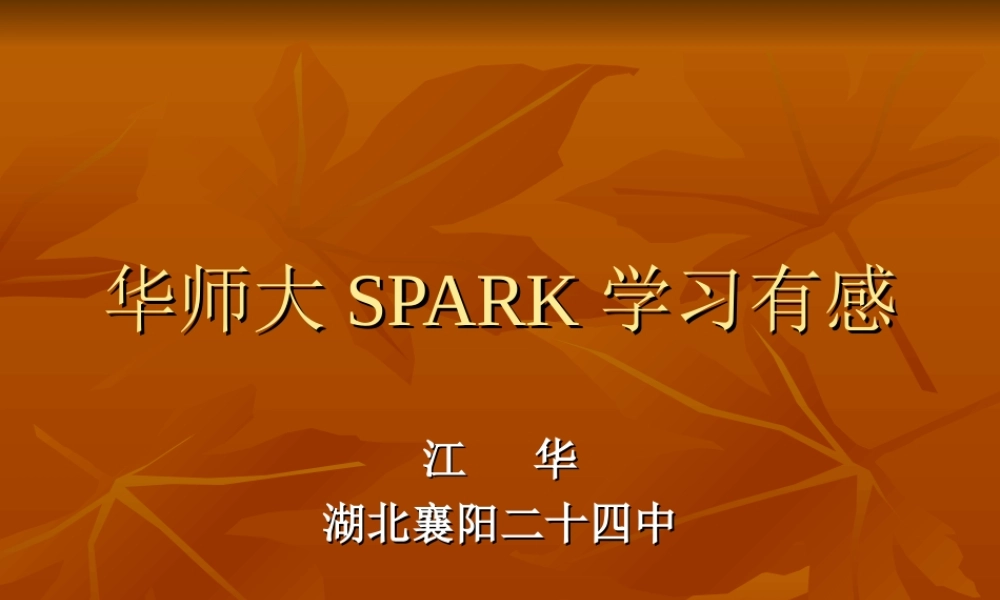 华师大SPARK学习有感