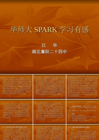 华师大SPARK学习有感