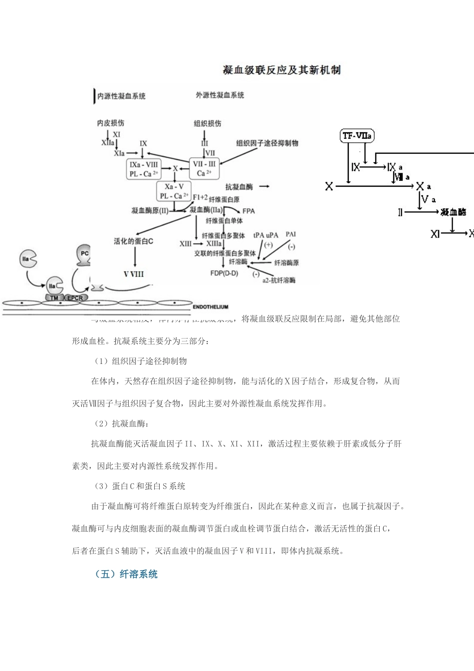血栓性疾病简要概述_第3页