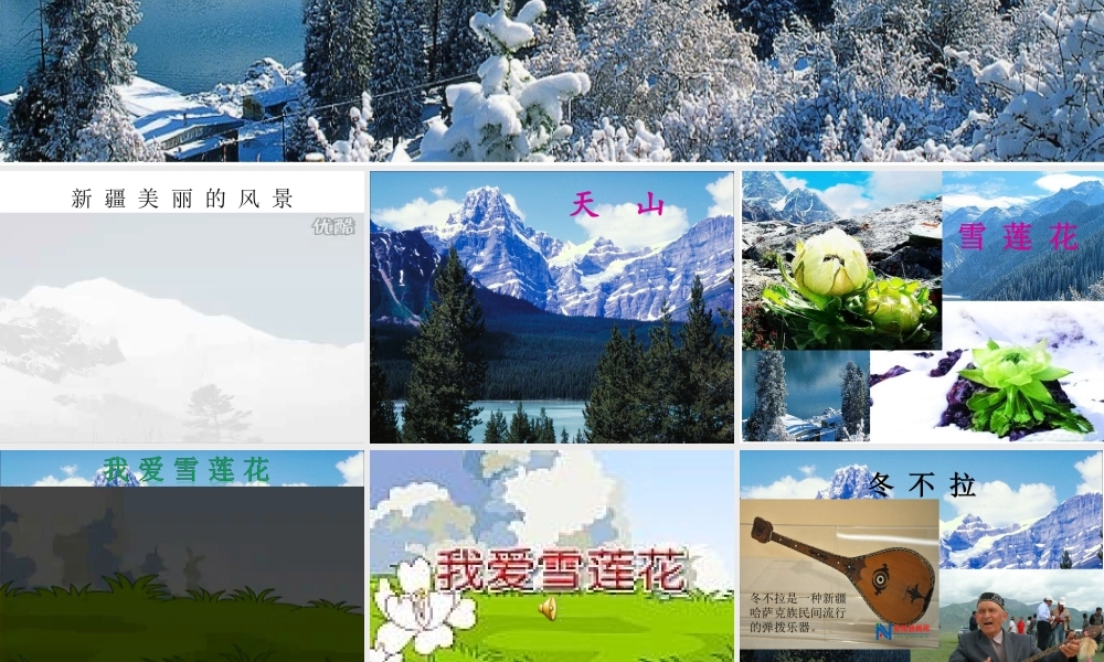 《我爱雪莲花》PPT