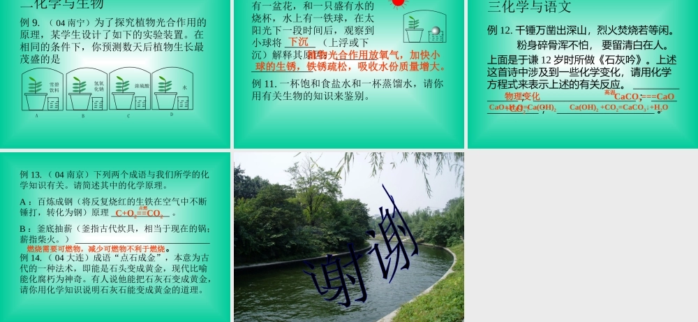 跨学科综合应用能力培养