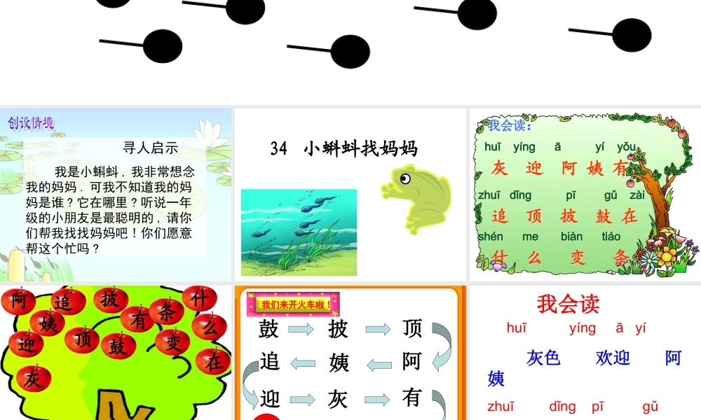 小蝌蚪找妈妈课件
