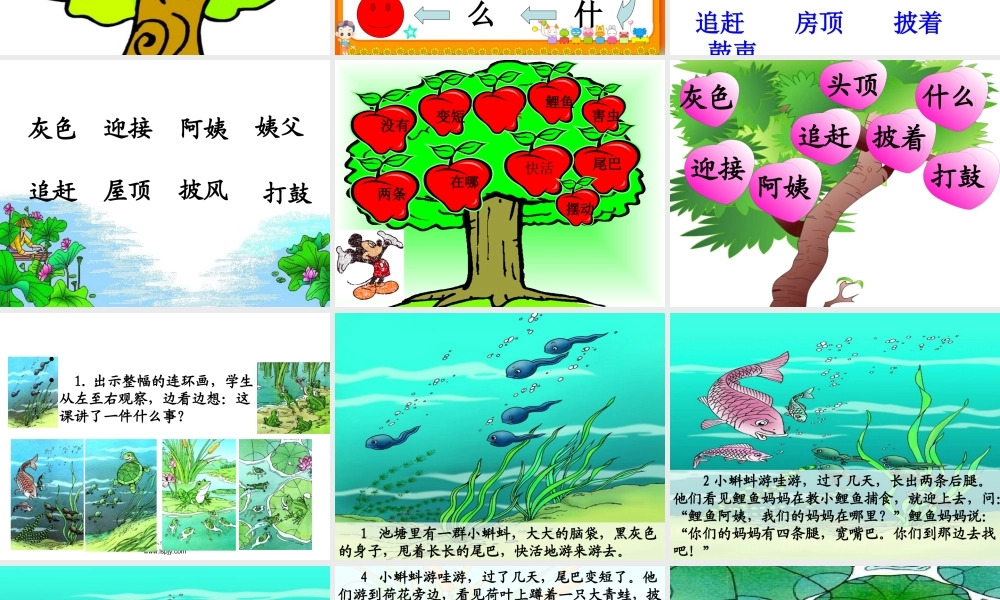 小蝌蚪找妈妈课件