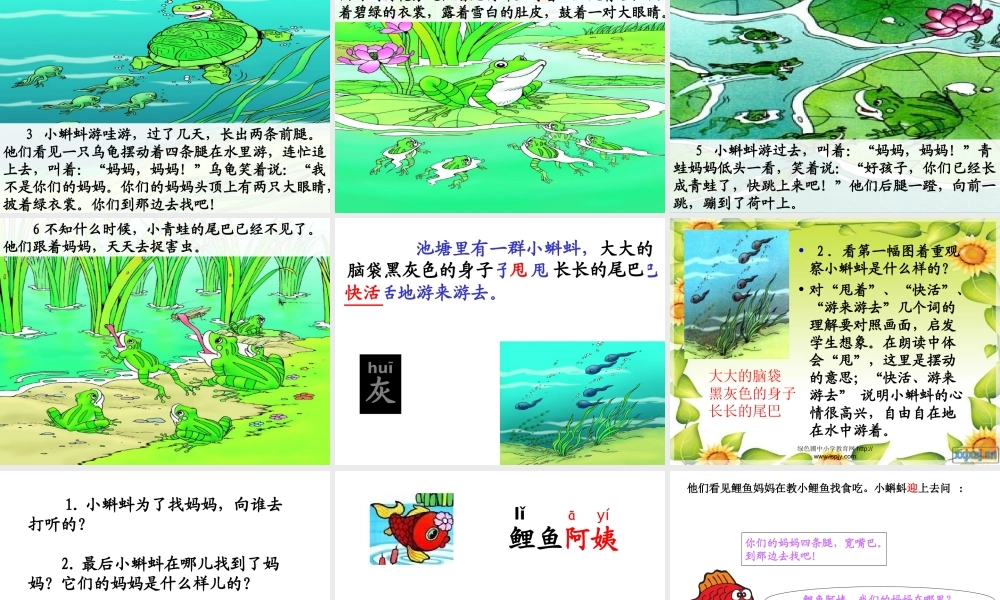 小蝌蚪找妈妈课件