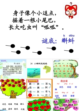 小蝌蚪找妈妈课件