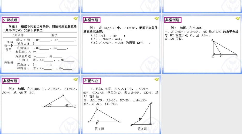 解直角三角形及其应用第课时