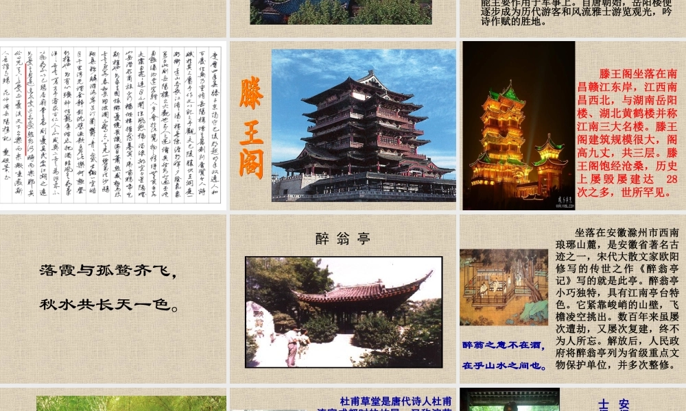 八年级下册第六单元综合性活动背起行囊走四方