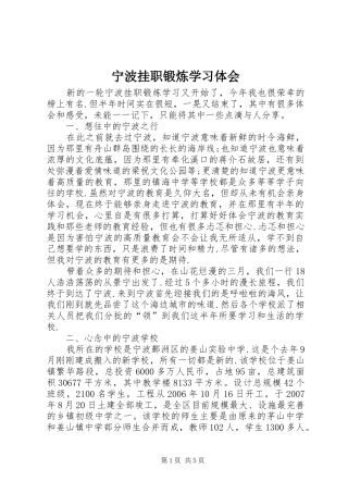 宁波挂职锻炼学习体会