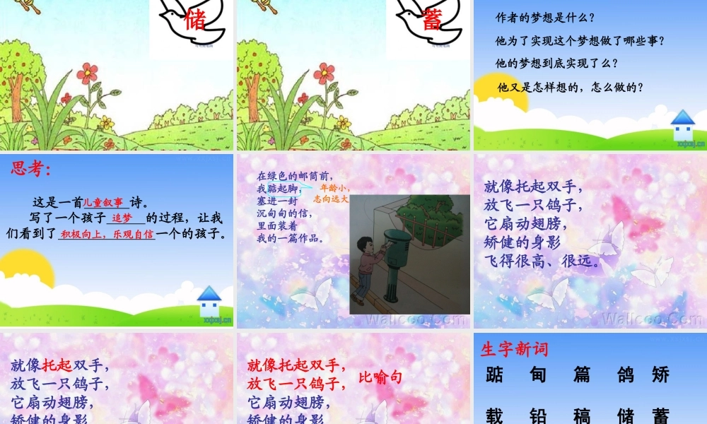 我的写作梦课件