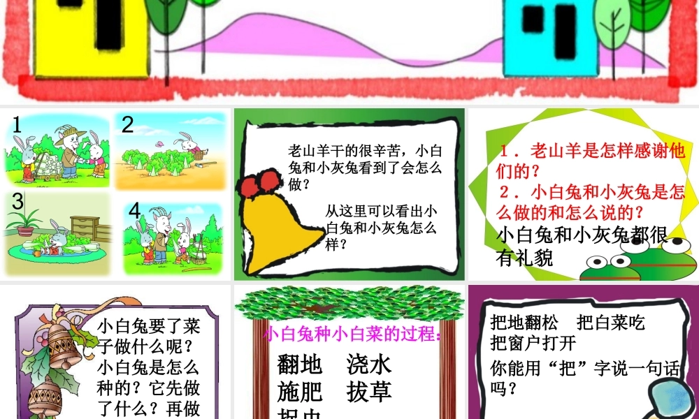 小白兔和小灰兔演示文稿