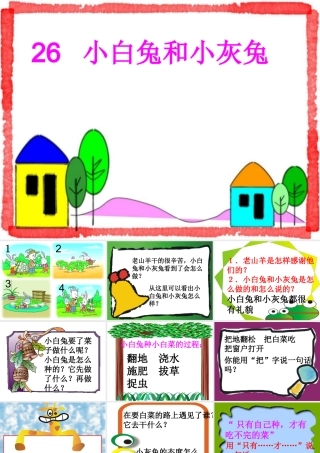 小白兔和小灰兔演示文稿