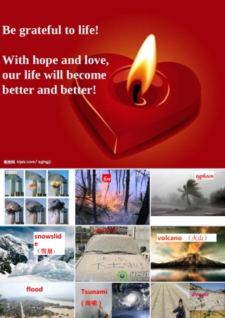 人教版新课标必修一Unit4reading课件（40张）