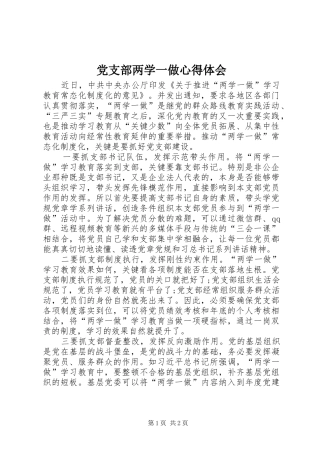 党支部两学一做心得体会