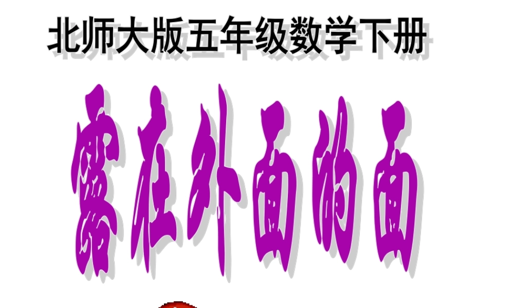 《露在外面的面》PPT课件(完美版)[1]