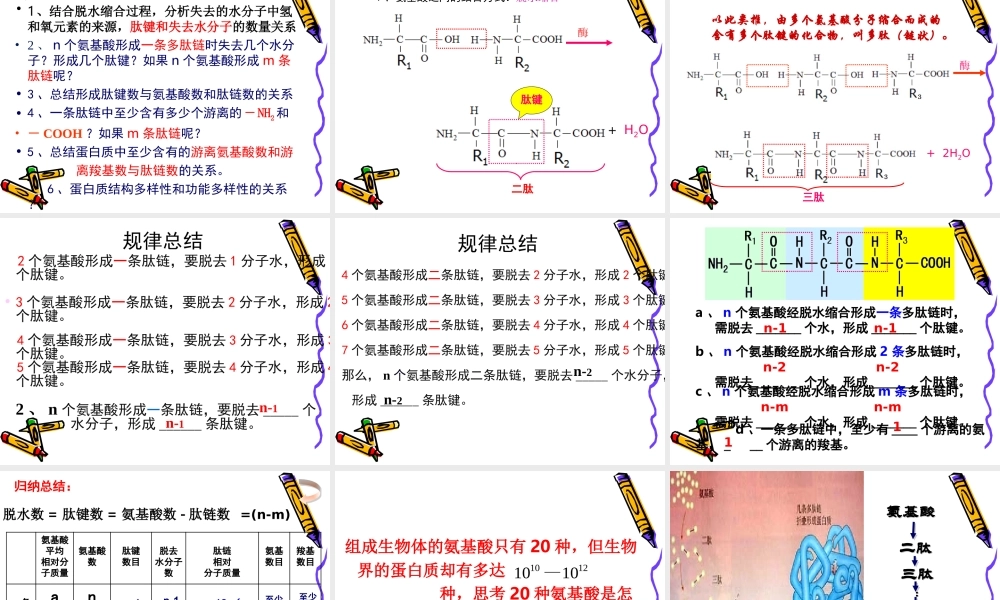 生命活动的主要承担者—蛋白质课件