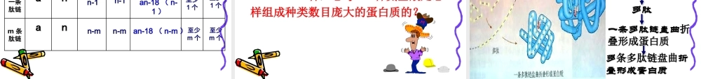 生命活动的主要承担者—蛋白质课件