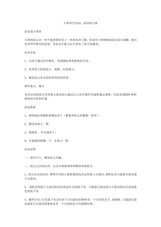 大班科学活动：滚动的小球